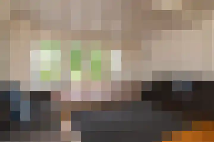 Zuiderweg 12 Opperdoes thumbnail 28