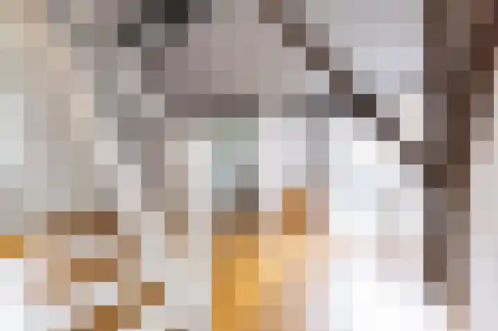 Zuiderweg 12 Opperdoes thumbnail 33