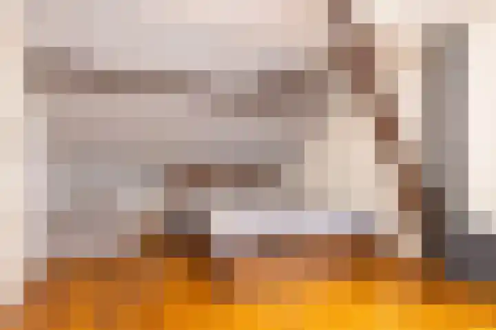 Zuiderweg 12 Opperdoes thumbnail 36