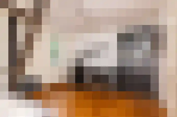 Zuiderweg 12 Opperdoes thumbnail 37