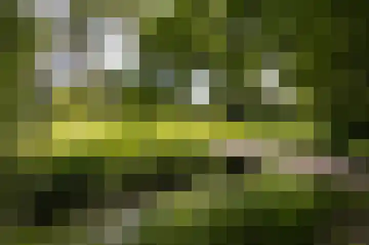 Zuiderweg 12 Opperdoes thumbnail 4