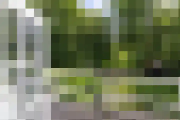 Zuiderweg 12 Opperdoes thumbnail 48