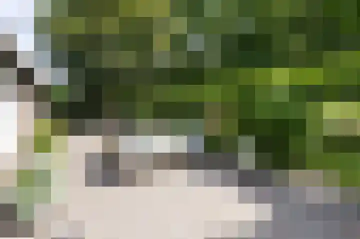 Zuiderweg 12 Opperdoes thumbnail 50