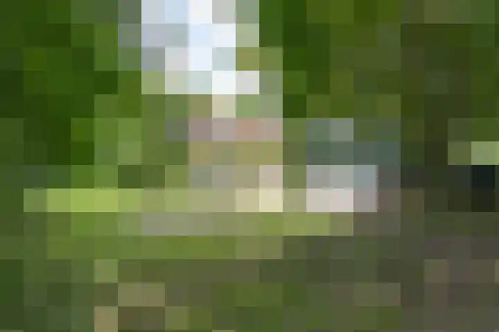 Zuiderweg 12 Opperdoes thumbnail 54