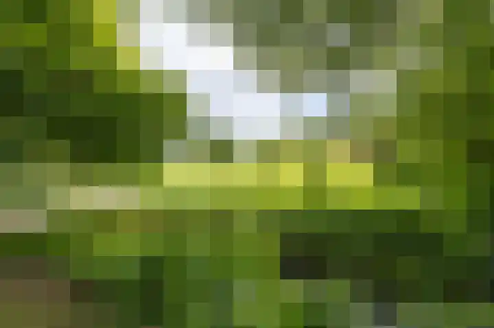 Zuiderweg 12 Opperdoes thumbnail 55