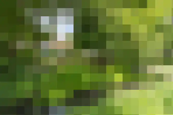 Zuiderweg 12 Opperdoes thumbnail 56