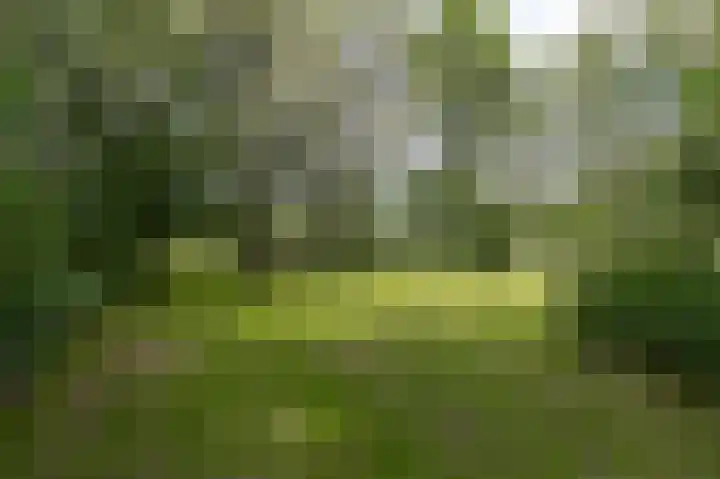 Zuiderweg 12 Opperdoes thumbnail 57