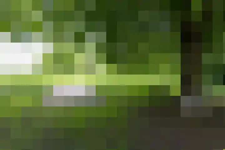 Zuiderweg 12 Opperdoes thumbnail 58