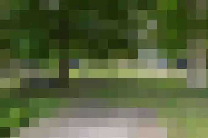 Zuiderweg 12 Opperdoes thumbnail 62