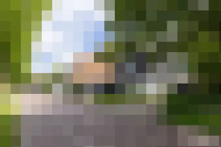 Zuiderweg 12 Opperdoes thumbnail 9