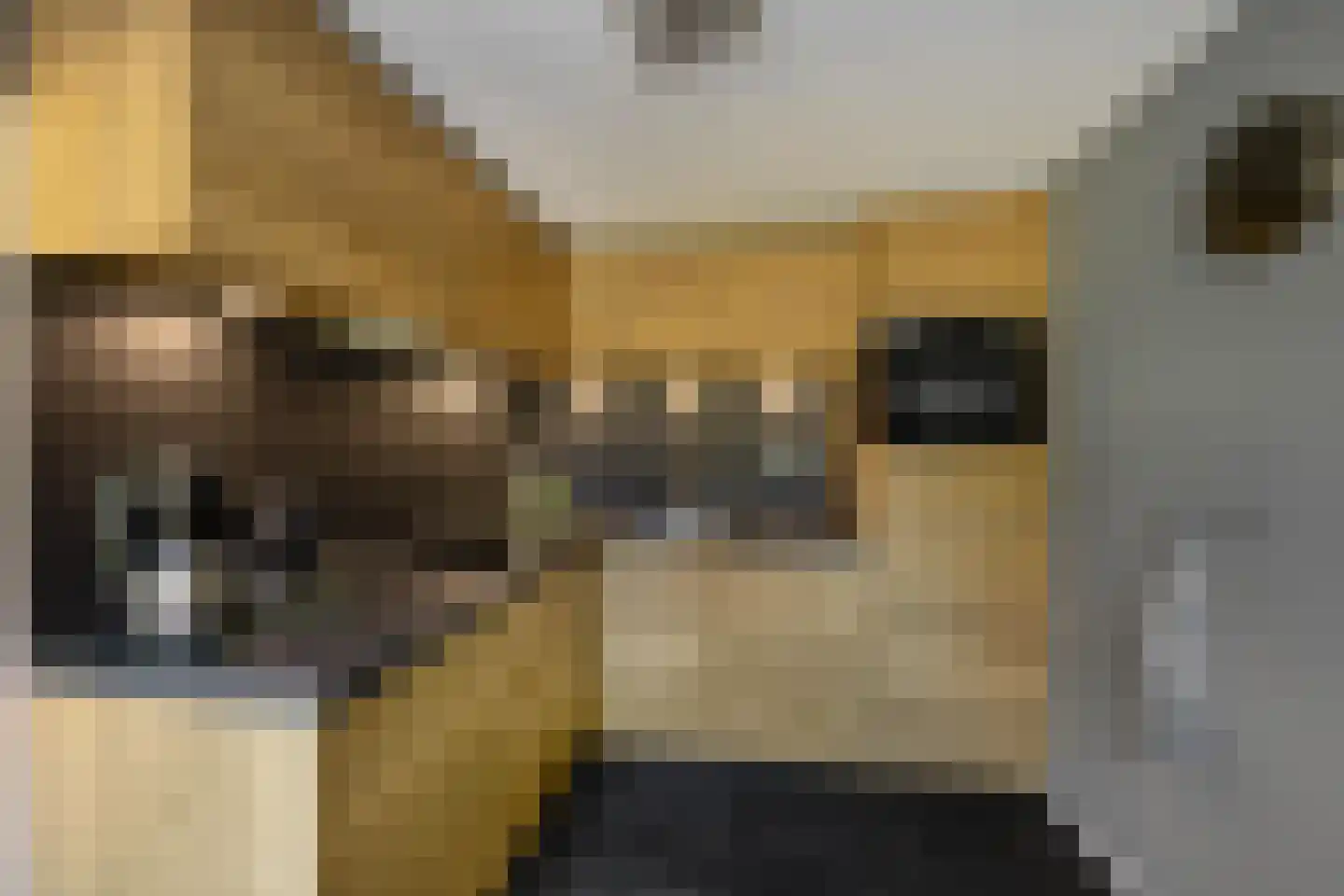 Zuiderweg 12 Slochteren thumbnail 16