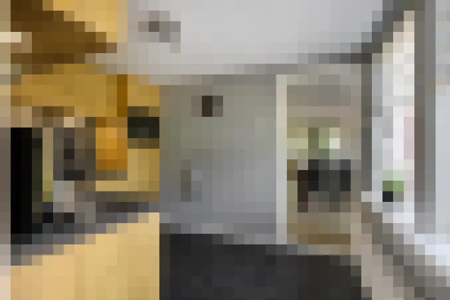 Zuiderweg 12 Slochteren thumbnail 17