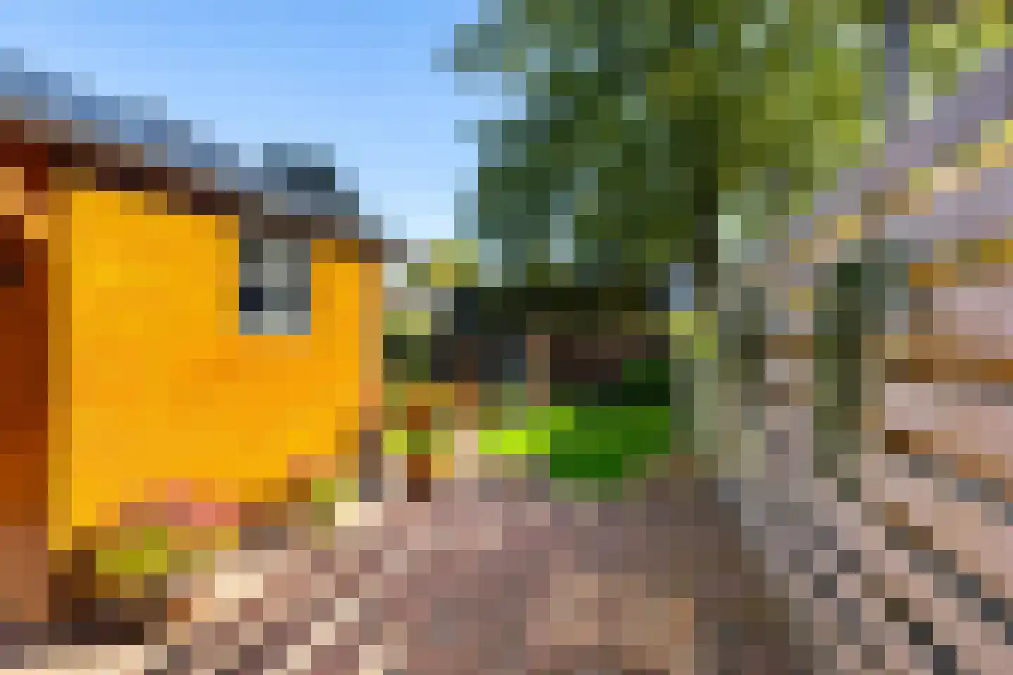 Zuiderweg 12 Slochteren thumbnail 39