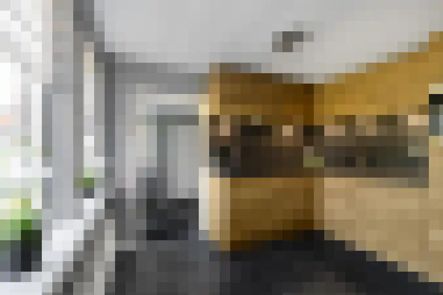 Zuiderweg 12 Slochteren thumbnail 4
