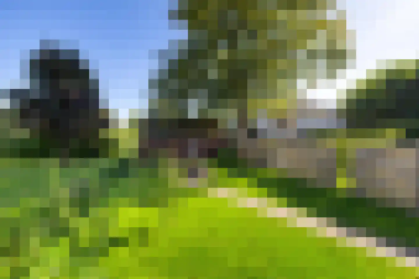Zuiderweg 12 Slochteren thumbnail 40