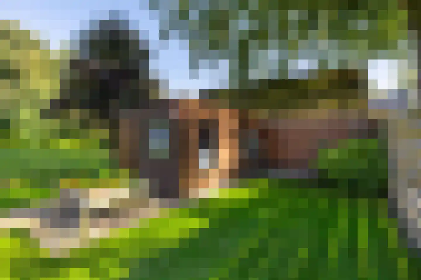 Zuiderweg 12 Slochteren thumbnail 41