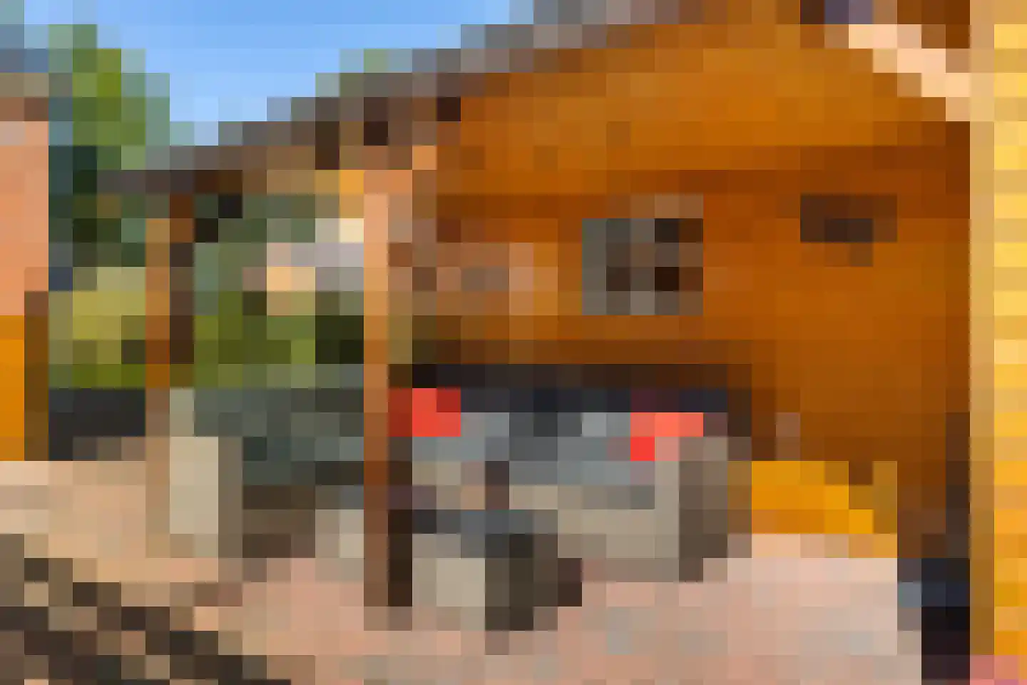 Zuiderweg 12 Slochteren thumbnail 47