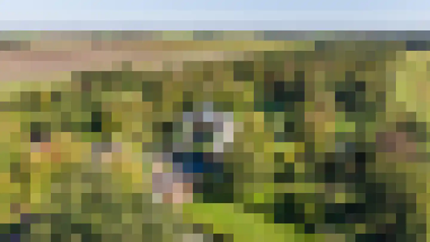 Zuiderweg 12 Slochteren thumbnail 64