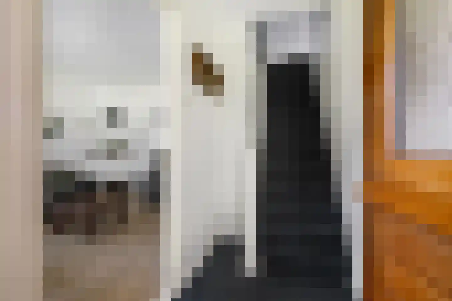 Zuiderweg 12 Slochteren thumbnail 7