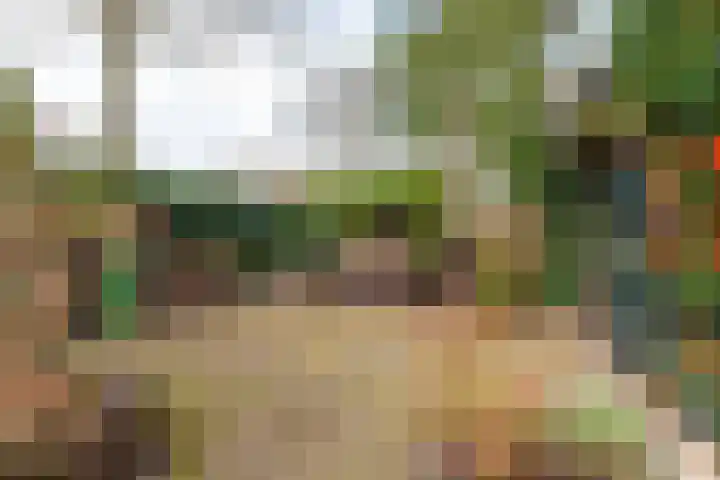 Zuiderweg 123 B Hilversum thumbnail 30