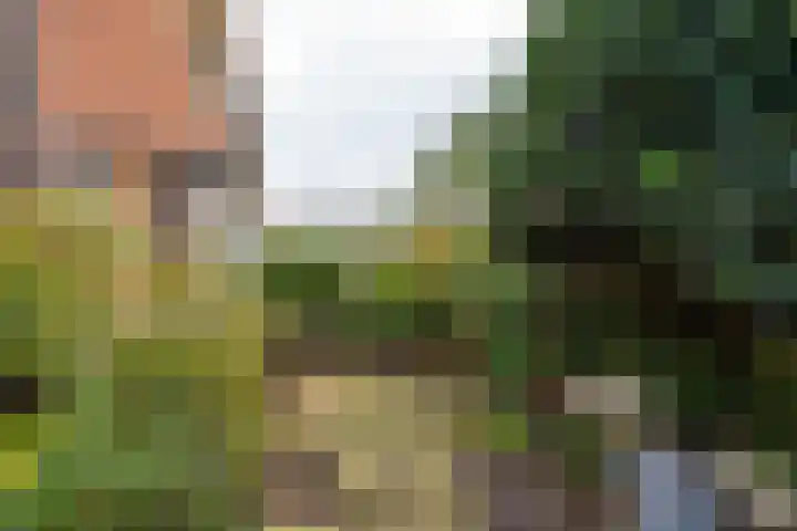 Zuiderweg 123 B Hilversum thumbnail 31