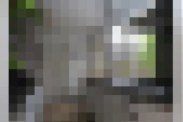 Zuiderweg 123 Groningen thumbnail 11