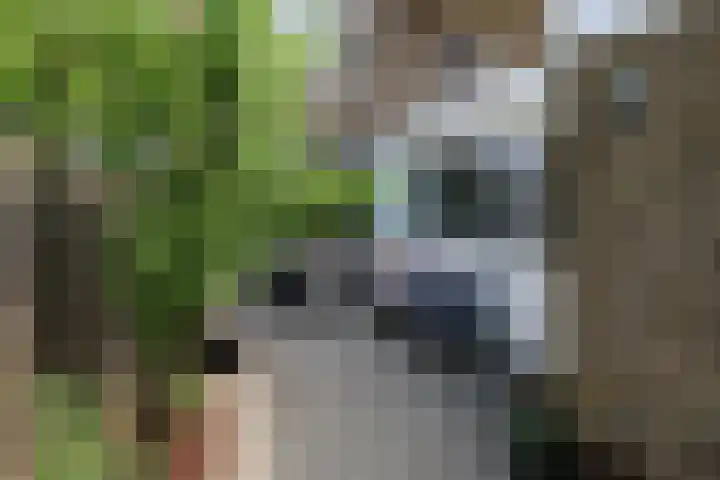 Zuiderweg 123 Groningen thumbnail 23