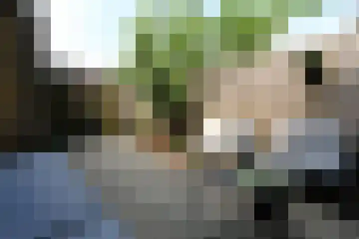 Zuiderweg 123 Groningen thumbnail 27