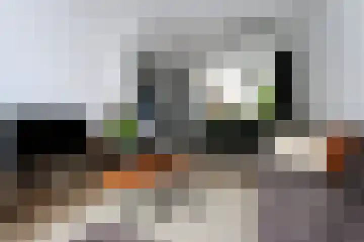 Zuiderweg 123 Groningen thumbnail 7