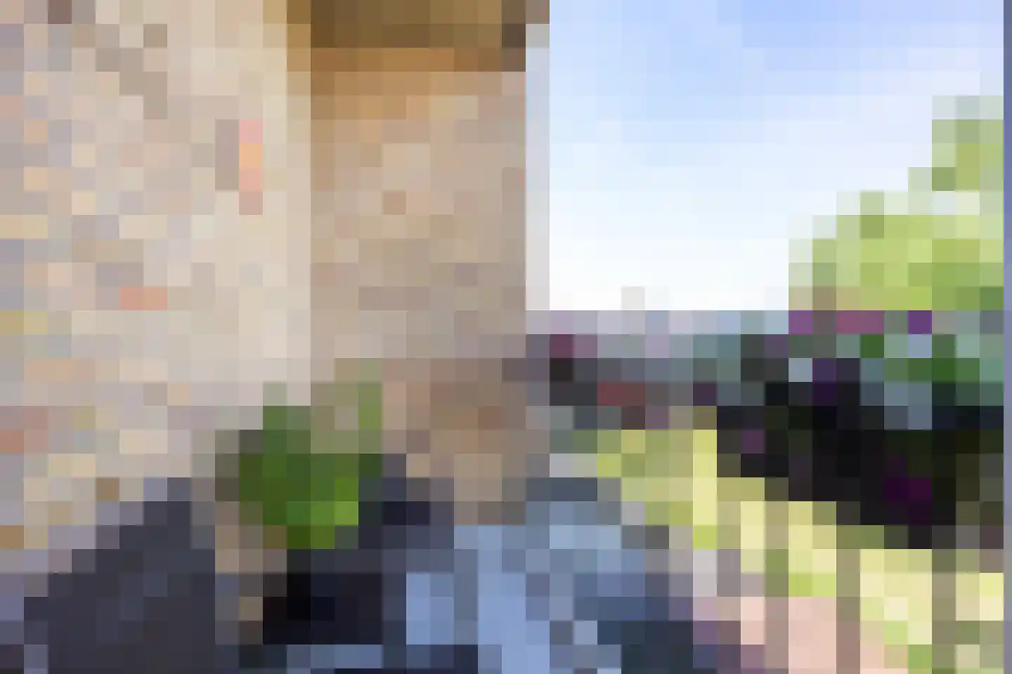 Zuiderweg 131 Groningen thumbnail 34