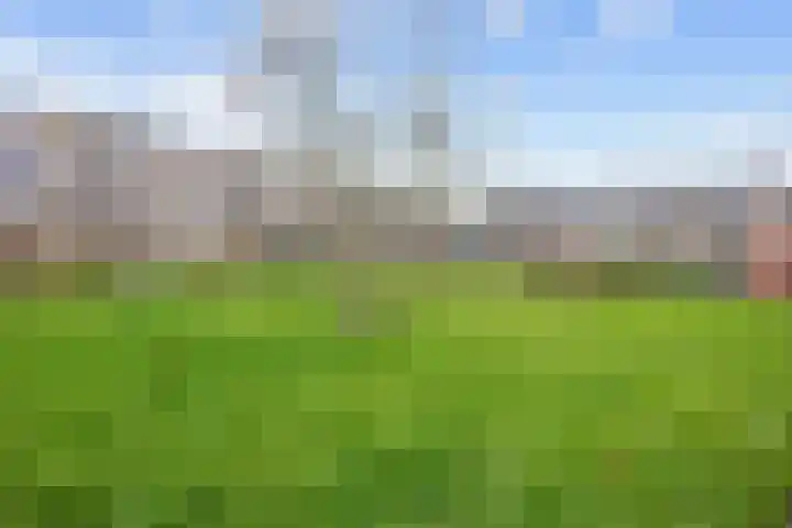 Zuiderweg 143 Groningen thumbnail 28