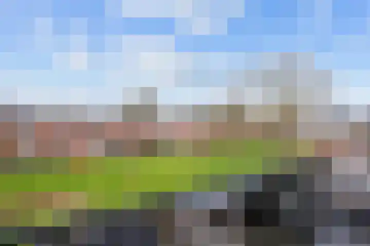 Zuiderweg 143 Groningen thumbnail 4