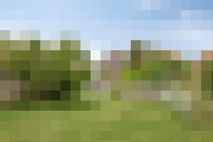 Zuiderweg 155 Zuidoostbeemster thumbnail 27