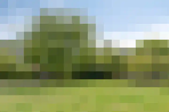 Zuiderweg 155 Zuidoostbeemster thumbnail 28