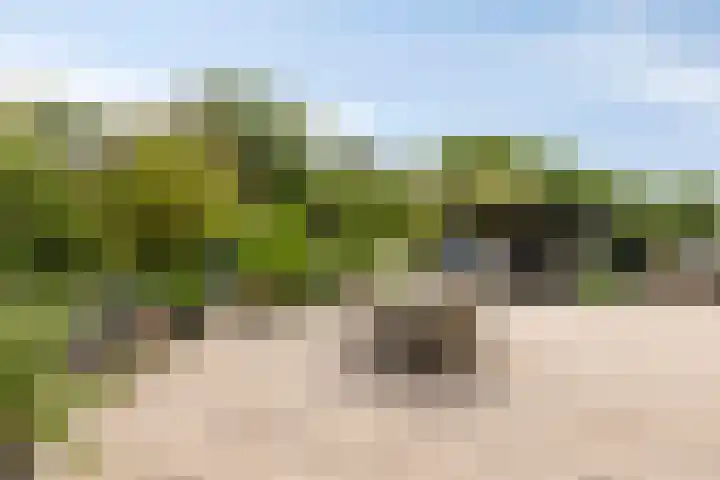 Zuiderweg 155 Zuidoostbeemster thumbnail 33