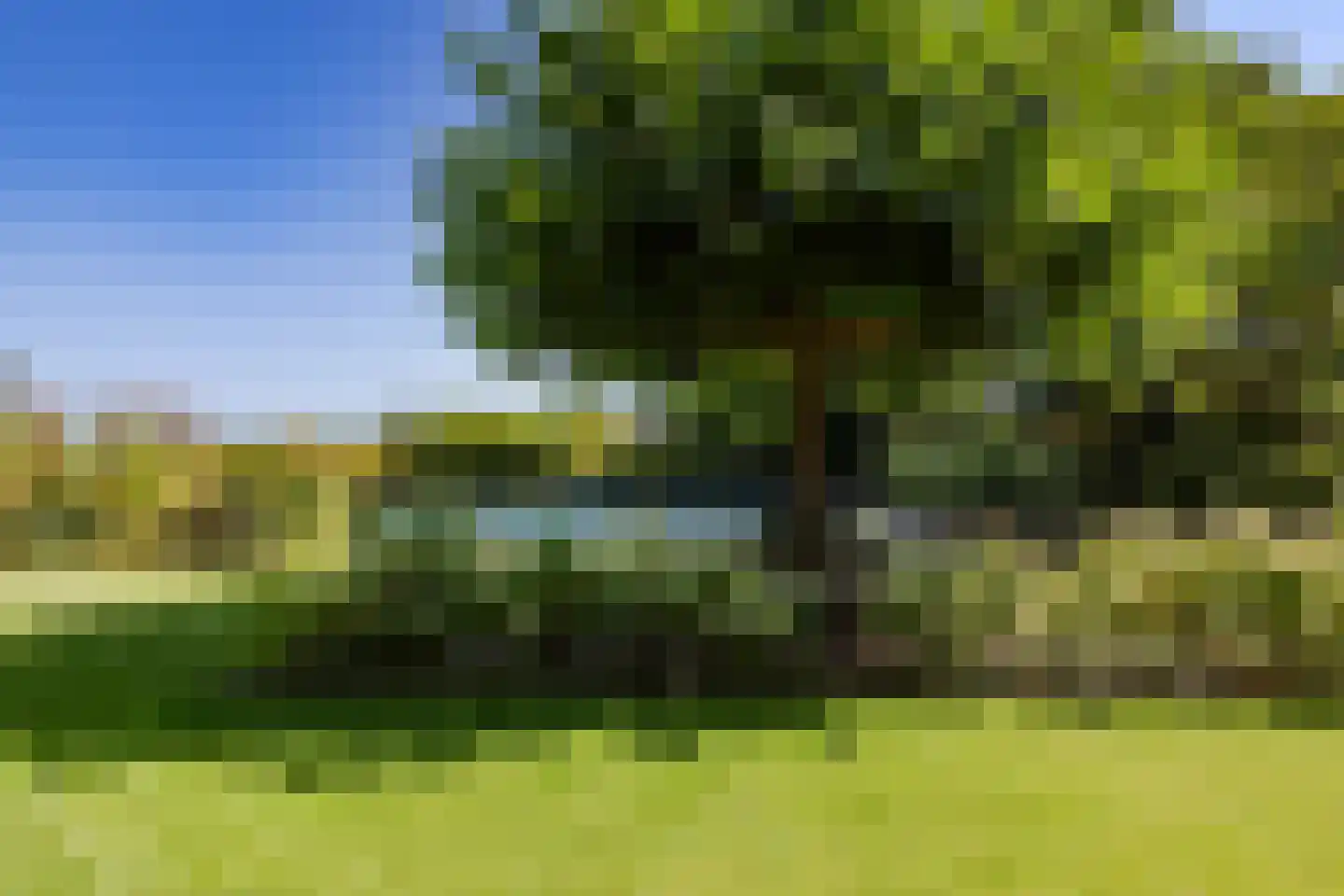 Zuiderweg 17 Oude Niedorp thumbnail 24