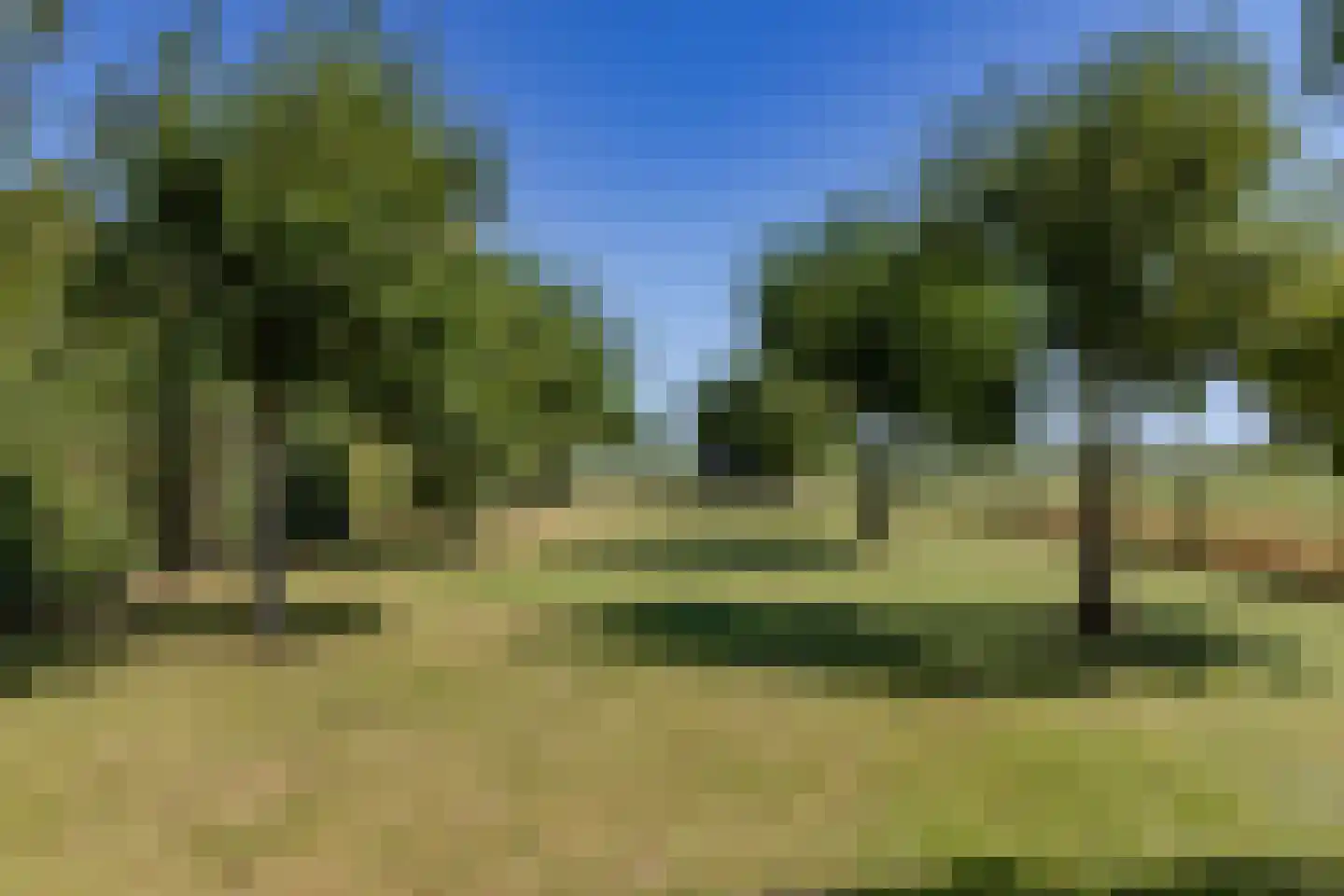 Zuiderweg 17 Oude Niedorp thumbnail 27