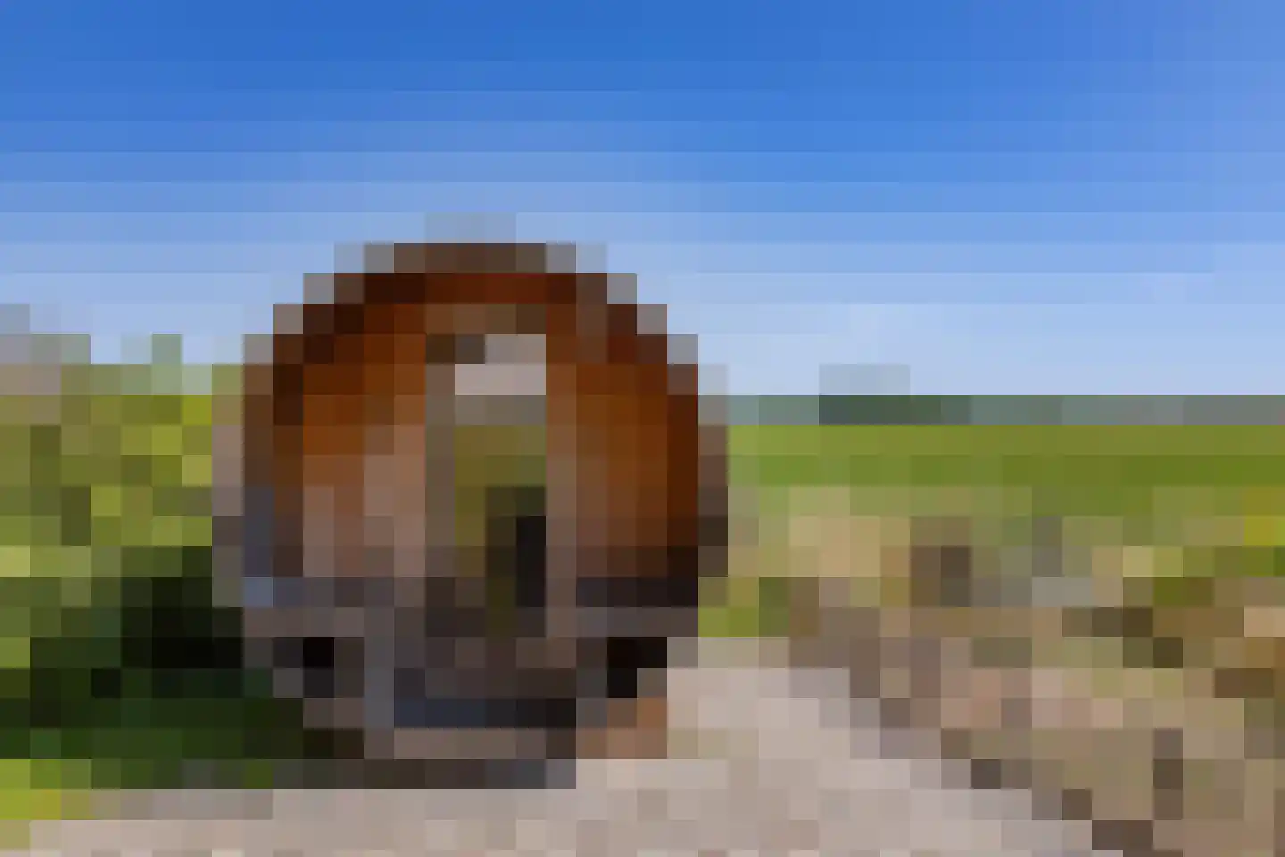 Zuiderweg 17 Oude Niedorp thumbnail 4