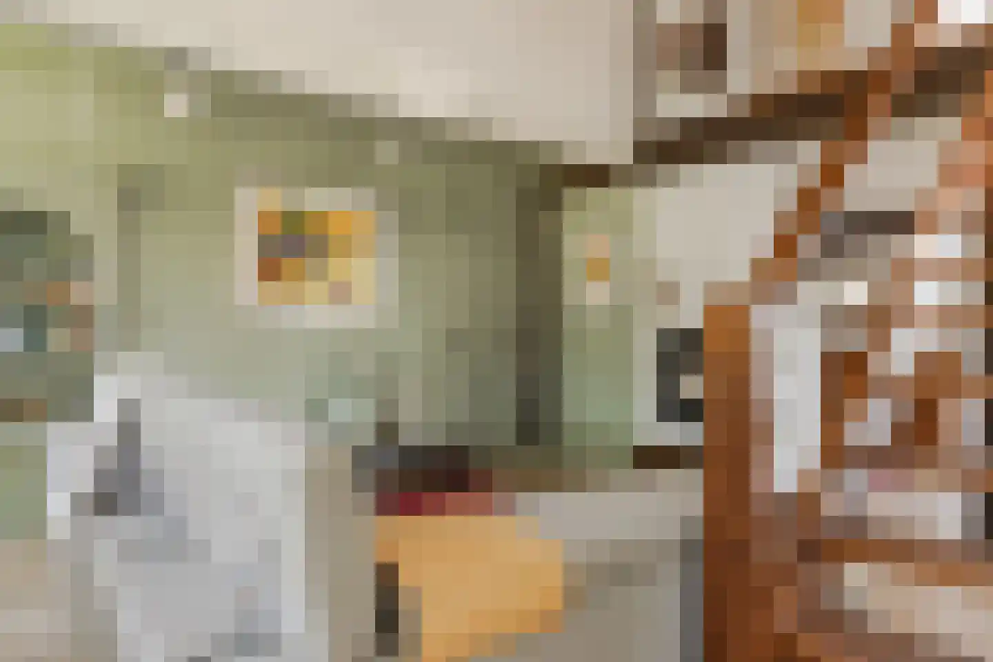 Zuiderweg 17 Oude Niedorp thumbnail 8