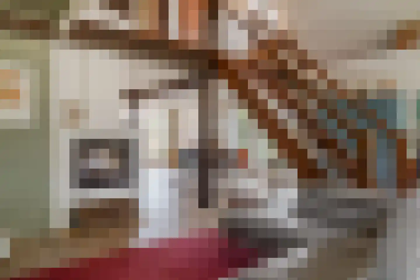 Zuiderweg 17 Oude Niedorp thumbnail 9