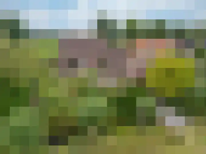 Zuiderweg 18 a Opperdoes thumbnail 10