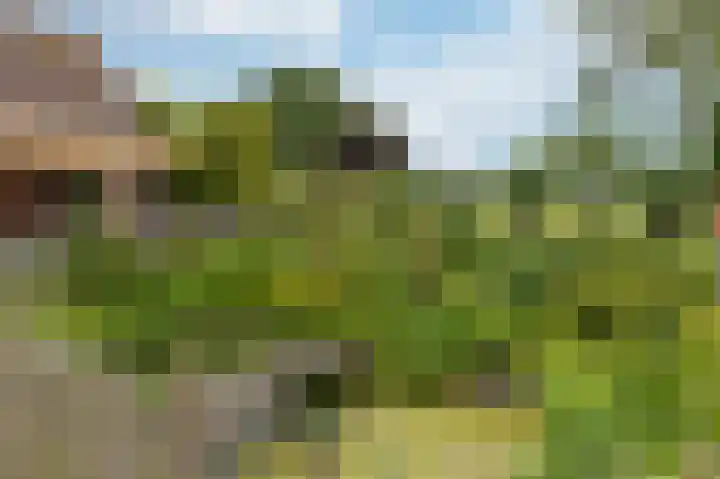 Zuiderweg 18 a Opperdoes thumbnail 11