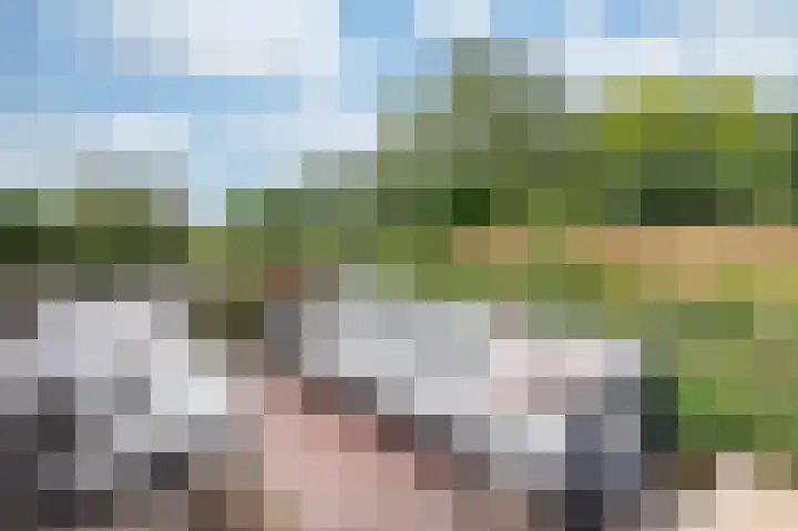 Zuiderweg 18 a Opperdoes thumbnail 15