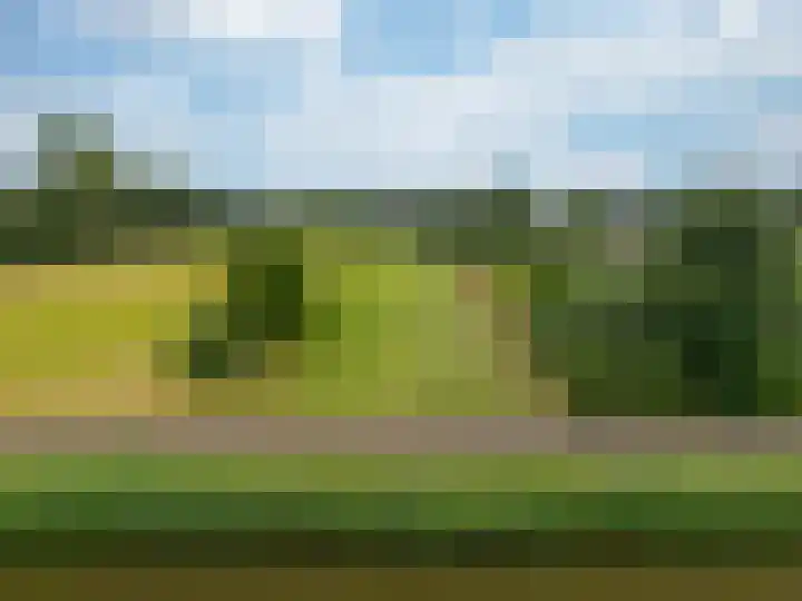 Zuiderweg 18 a Opperdoes thumbnail 48