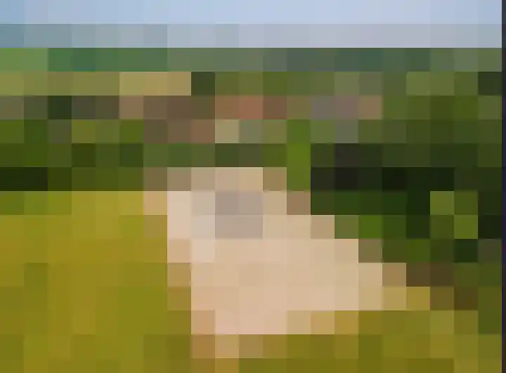 Zuiderweg 18 a Opperdoes thumbnail 49