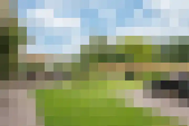 Zuiderweg 18 a Opperdoes thumbnail 6