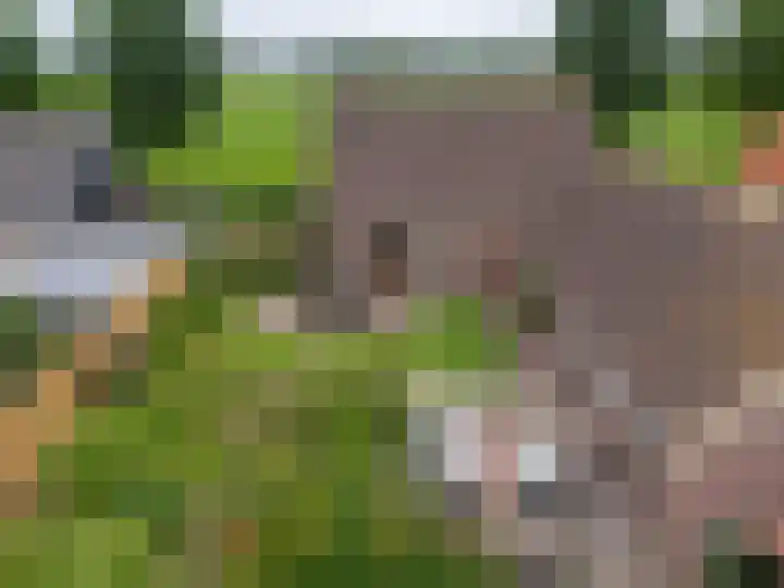 Zuiderweg 18 a Opperdoes thumbnail 9