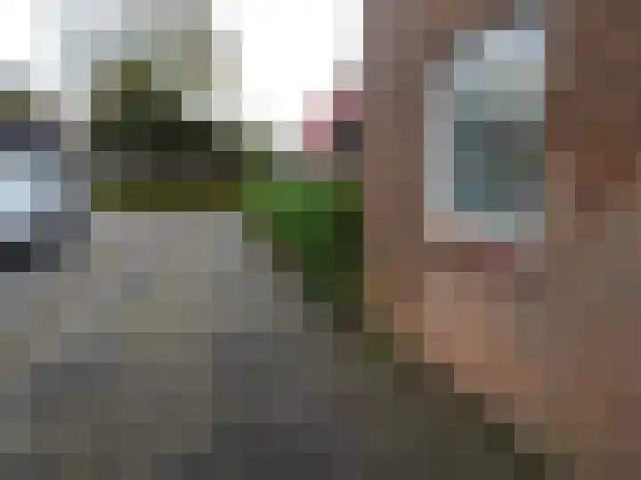 Zuiderweg 18 Oude Niedorp thumbnail 21