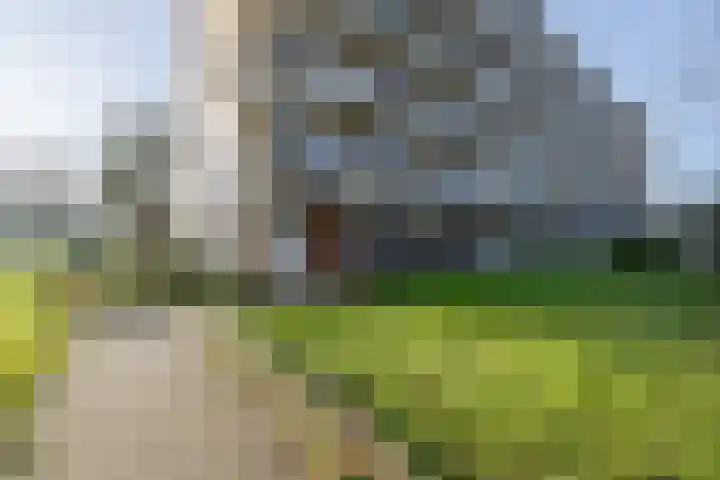 Zuiderweg 185 Zuidoostbeemster thumbnail 6