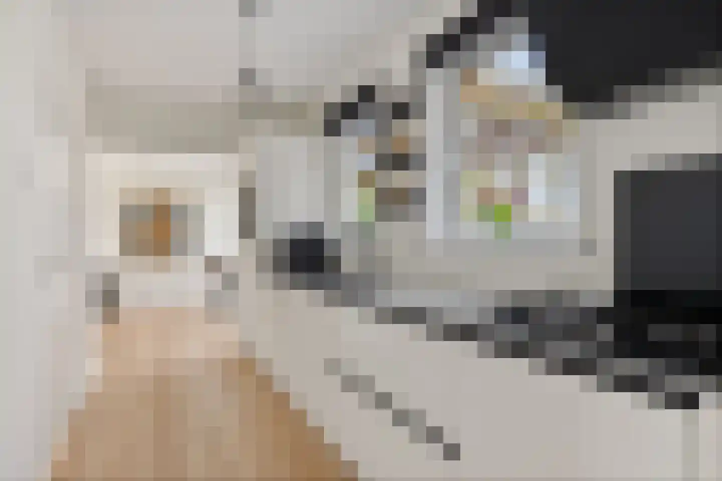 Zuiderweg 19 Slochteren thumbnail 11